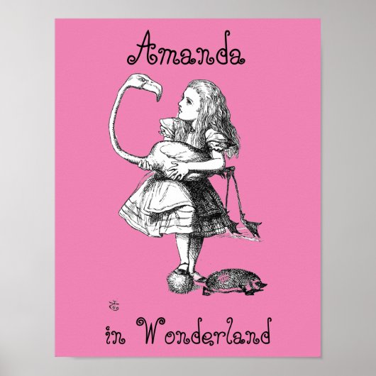 Poster Alice et le Flamant rose ( bkgrd rose ) (Devant)