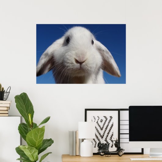 Poster Alice - Lapin Lop Blanc (Bureau à domicile)