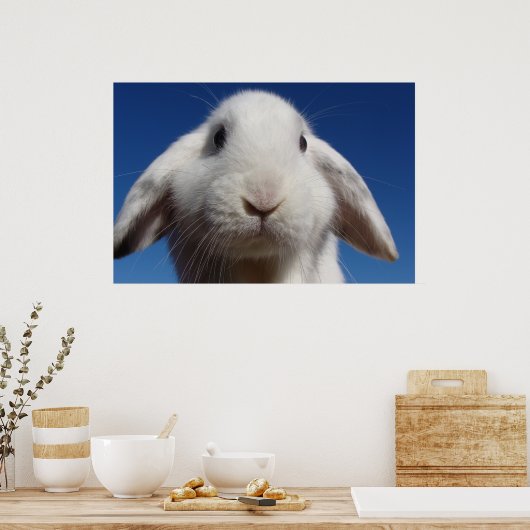 Poster Alice - Lapin Lop Blanc (Cuisine)