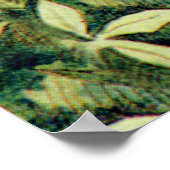 Poster Alice rencontre des fleurs parlantes au pays des m (Coin)