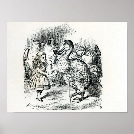 Poster Alice rencontre le Dodo (Devant)