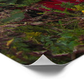 Poster Alien Graffiti (Coin)