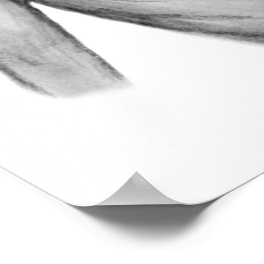 Poster Alien gris, je veux croire (Coin)