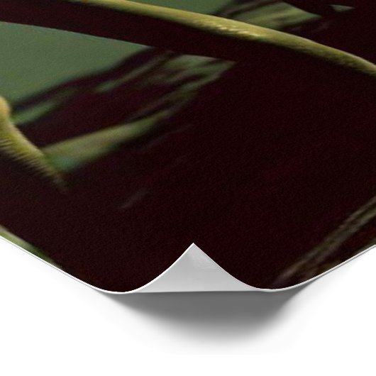 Poster ALIENS gris SF 2 (Coin)