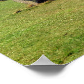 Poster Alignement des pierres debout, Mégalithique (Coin)