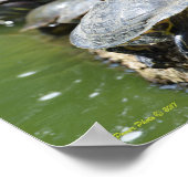 Poster Aligner les tortues (Coin)