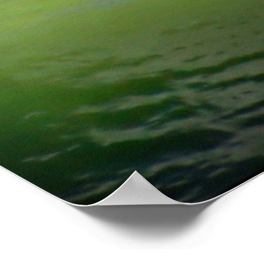 Poster Alimentation (Coin)