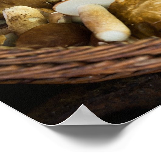 Poster Alimentation d'automne (Coin)