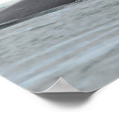 Poster Alimentation des baleines à bosse (Coin)