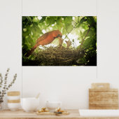 Poster Alimentation des cardinaux (Cuisine)