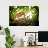 Poster Alimentation des cardinaux (Bureau à domicile)