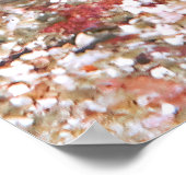 Poster Alimentation des crabes (Coin)