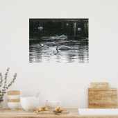 Poster Alimentation des cygnes, Lac Roath Park, Cardiff (Cuisine)