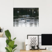 Poster Alimentation des cygnes, Lac Roath Park, Cardiff (Bureau à domicile)