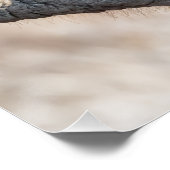 Poster Alimentation des éléphants (Coin)