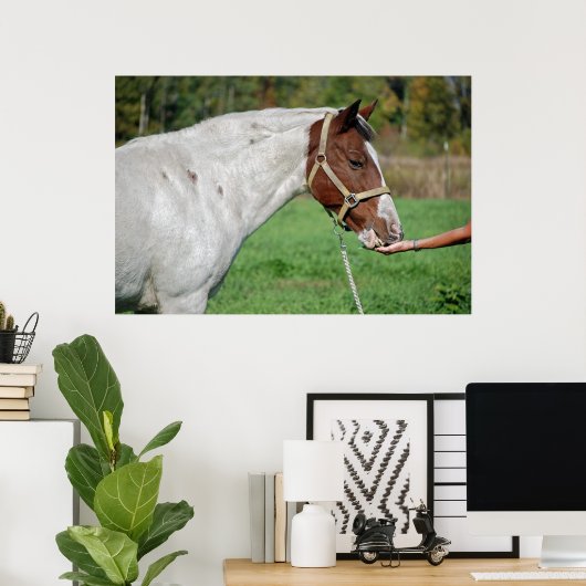 Poster Alimentation du cheval (Bureau à domicile)