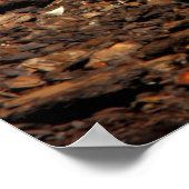 Poster Alimentation du porc-épic (Coin)