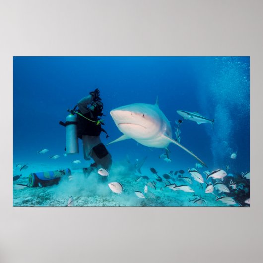 Poster Alimentation du taureau (Devant)