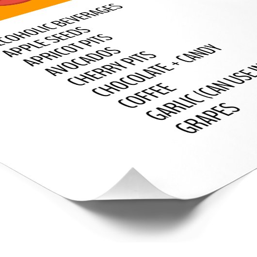 Poster Aliments Chiens peuvent et ne peuvent pas manger g (Coin)