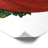 Poster Aliments de qualité, Tomate mûre, Légumes et Fruit (Coin)