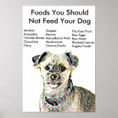 Poster Aliments que vous ne devriez pas nourrir votre chi (Devant)