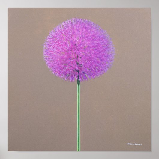 Poster Alium (Devant)