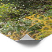 Poster Allée bordée d'arbres en automne (Coin)
