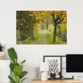 Poster Allée bordée d'arbres en automne (Bureau à domicile)