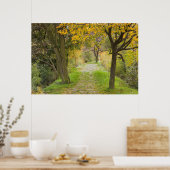 Poster Allée bordée d'arbres en automne (Cuisine)
