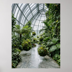 Poster Allée de la jungle de la serre tropicale