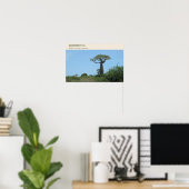 Poster Allée des Baobabs de Morondava (Bureau à domicile)