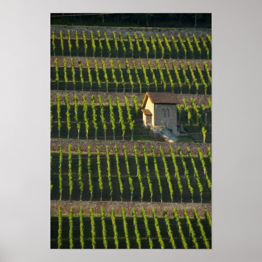 Poster Allemagne, Franconie, Wertheim. Coteau spécial 2 (Devant)