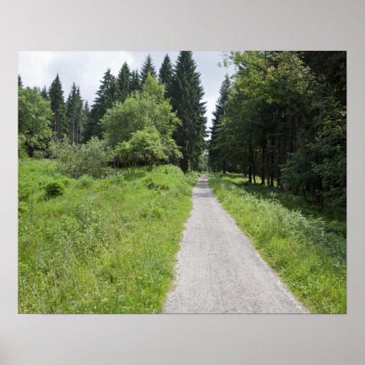 Poster Allemagne, Thuringe, chemin en forêt (Devant)