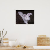POSTER ALLEMAND ANGORA RABBIT (Cuisine)