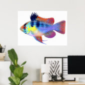 Poster allemand Blue Ram Dwarf Cichlid (Bureau à domicile)