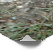 Poster allemand Shepherd (Coin)