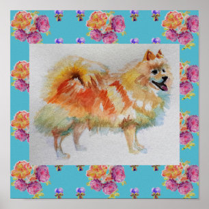 Poster allemand Spitz Pomeranian Chien Rose