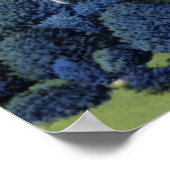 Poster Allentown Pennsylvania Cedar Crest College (Coin)