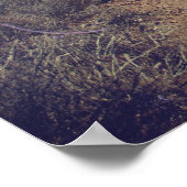 Poster Aller à la découverte (Coin)