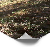 Poster Aller à la maison Canvas (Coin)