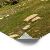 Poster Aller Au Soleil (Coin)