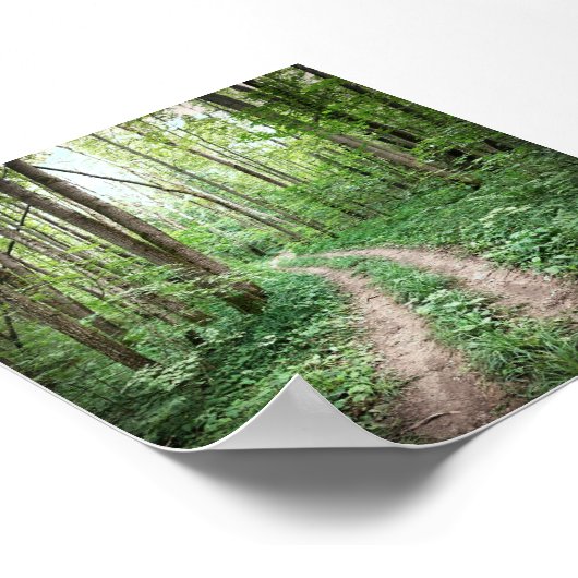 Poster Aller dans la forêt (Coin)