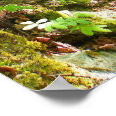 Poster Aller Randonnée (Coin)