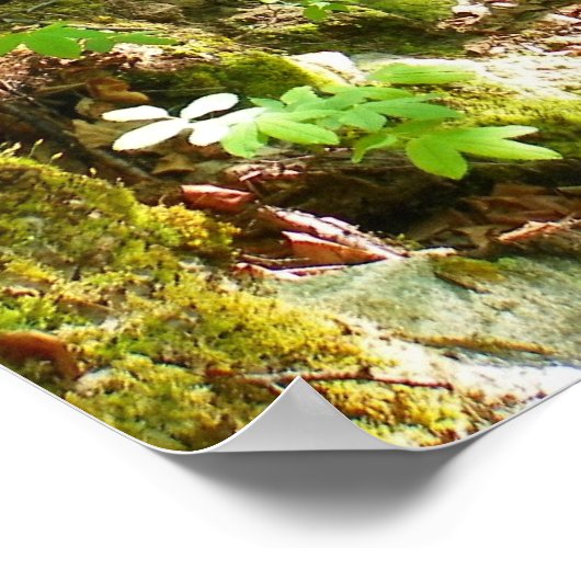 Poster Aller Randonnée (Coin)