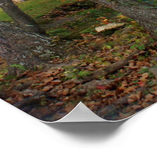 Poster Alley Mill 1 (Coin)