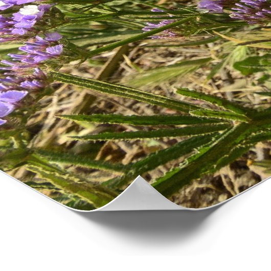 Poster Allez en toute confiance dans la direction de vos (Coin)