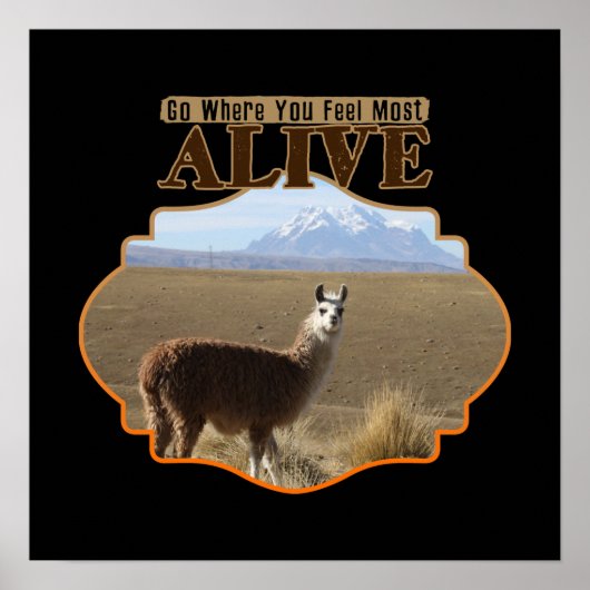 Poster Allez Là Où Vous Sentez Le Plus Alive Llama Aventu (Devant)
