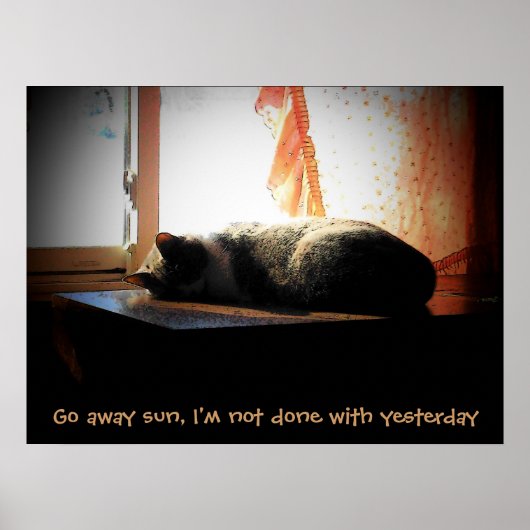 Poster Allez Soleil - Chat Endormi (Devant)