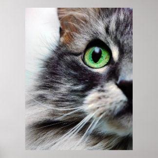 Poster Allie (demi-face)