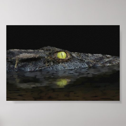 Poster Alligator américain (Devant)